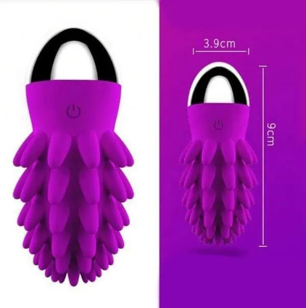 Vibrador Huevo vibrador suculento (recargable)